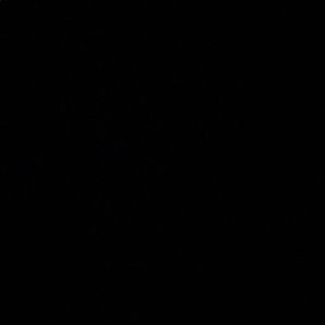 Meet your Posher, Celeste